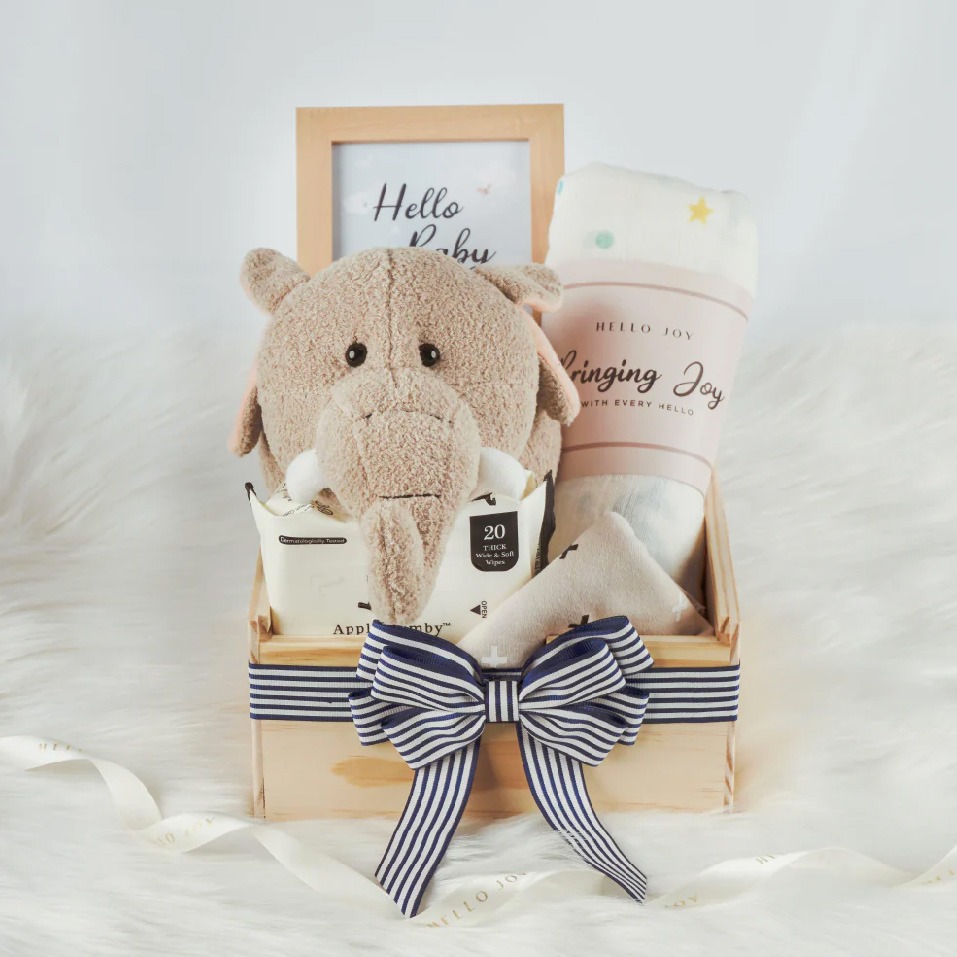 How to Choose a Gift for a Newborn Baby?